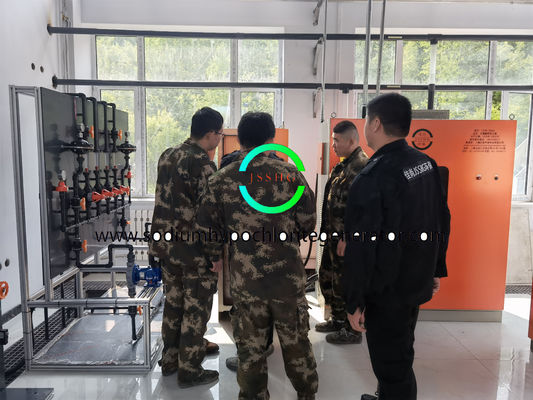Automatic sodium hypochlorite generator system for drinking water