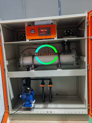 3000 g / h 0, 8% Sistema de Eletrólise de Salmoura de Alta Pureza de Hipoclorito de Sódio